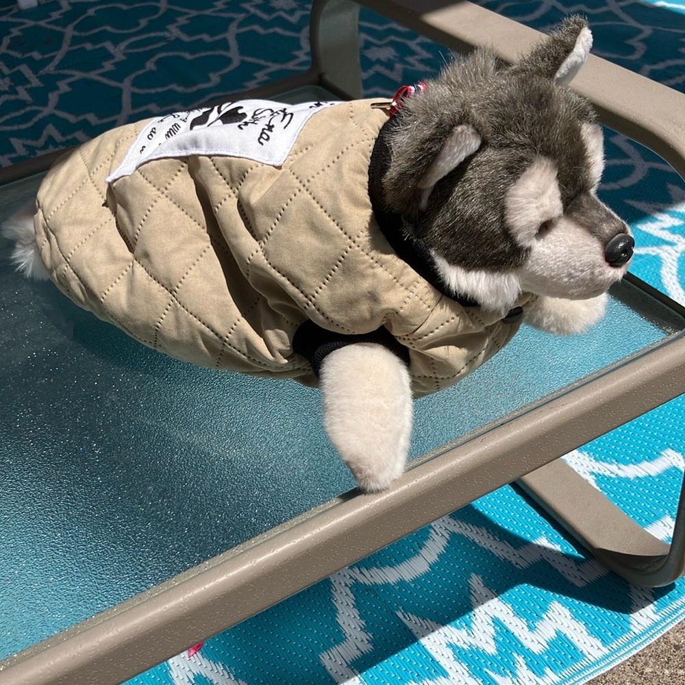 Dog coat
